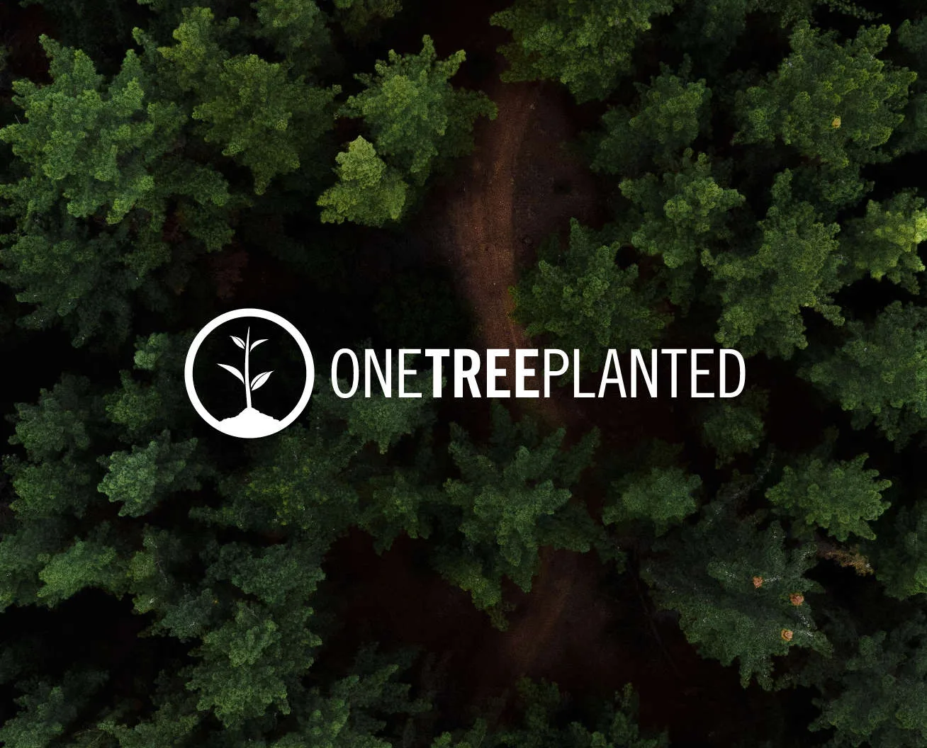Partnership Fitsse and OneTreePlanted organization